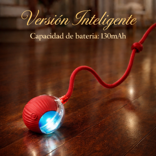 Juguete interactivo de pelota